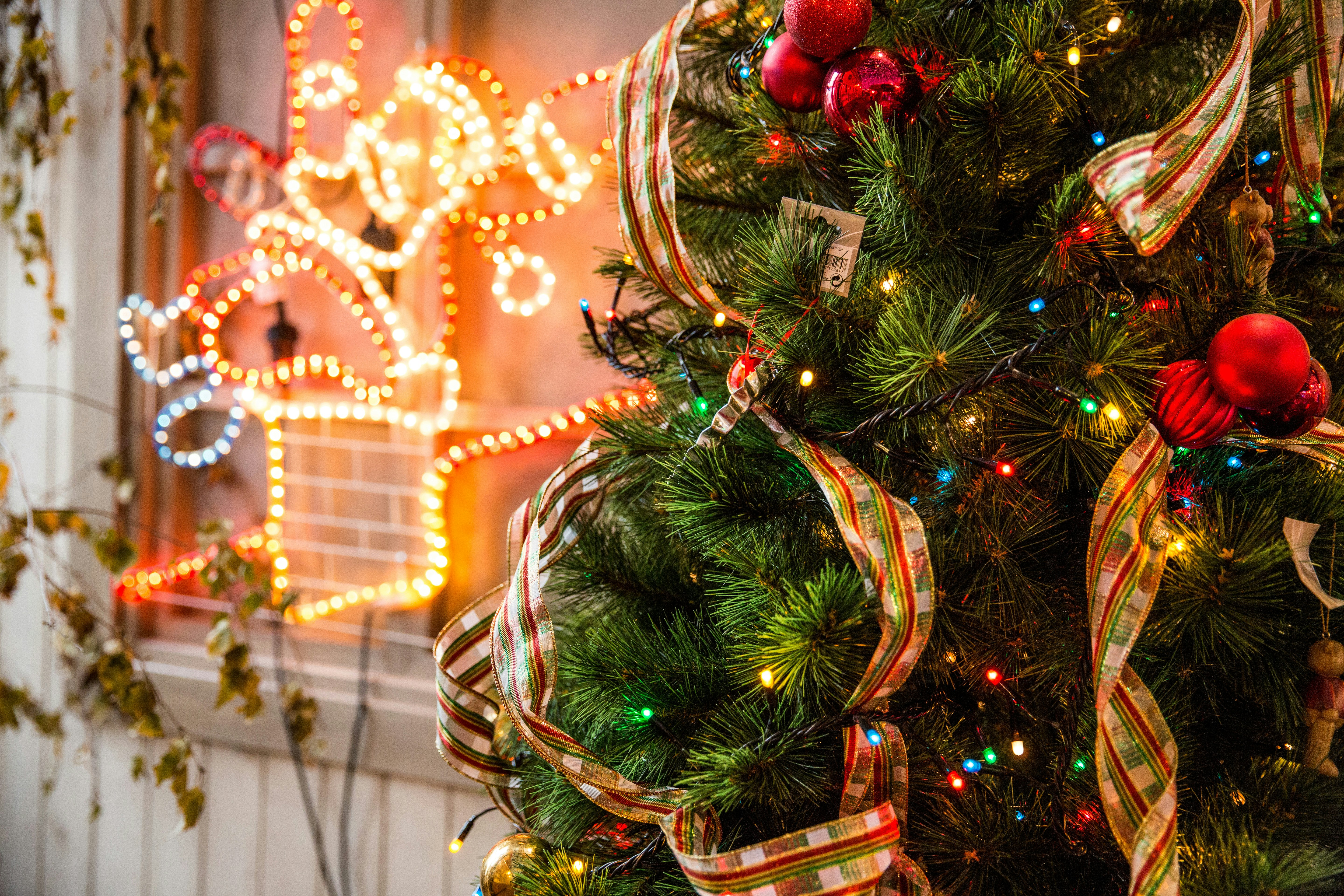 green and red Christmas tree near yellow neon light